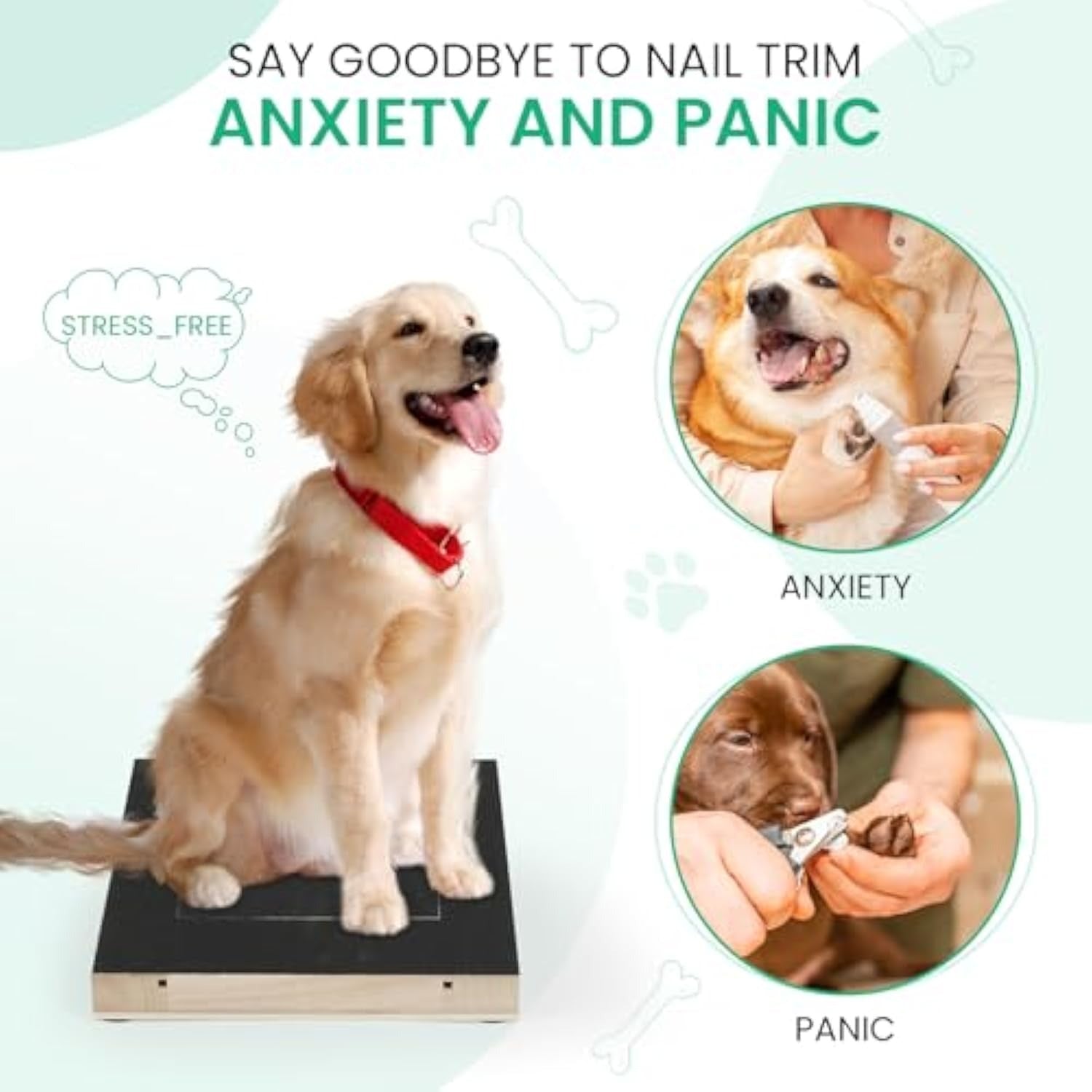 Fear-free nail care that eases nail-trim anxiety and panic in dogs