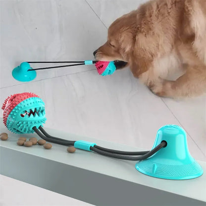 Suction Cup Dog Toy – Interactive Tug & Play