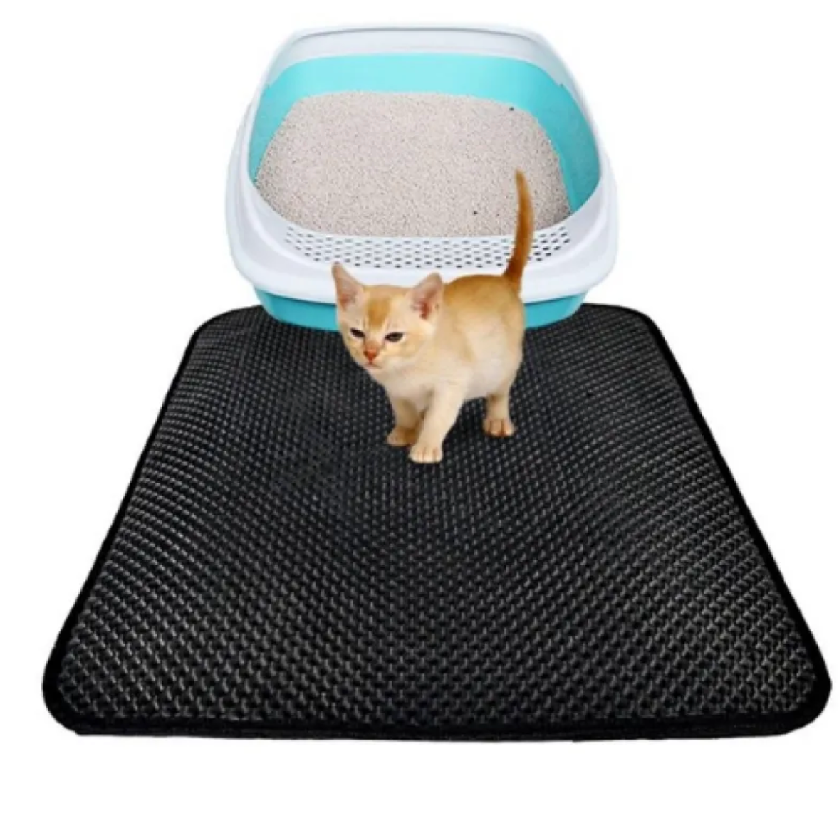 Cat stepping off a black double-layer honeycomb litter trapping mat beside a litter box