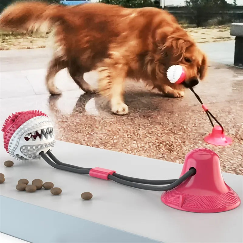 Suction Cup Dog Toy – Interactive Tug & Play
