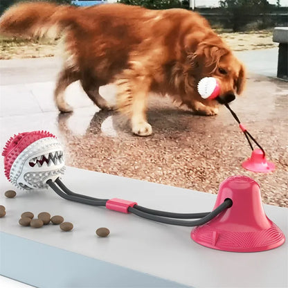 Suction Cup Dog Toy – Interactive Tug & Play