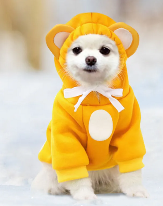 Pet hoodie available in sizes extra small to extra large