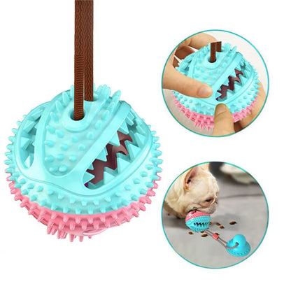 Suction Cup Dog Toy – Interactive Tug & Play