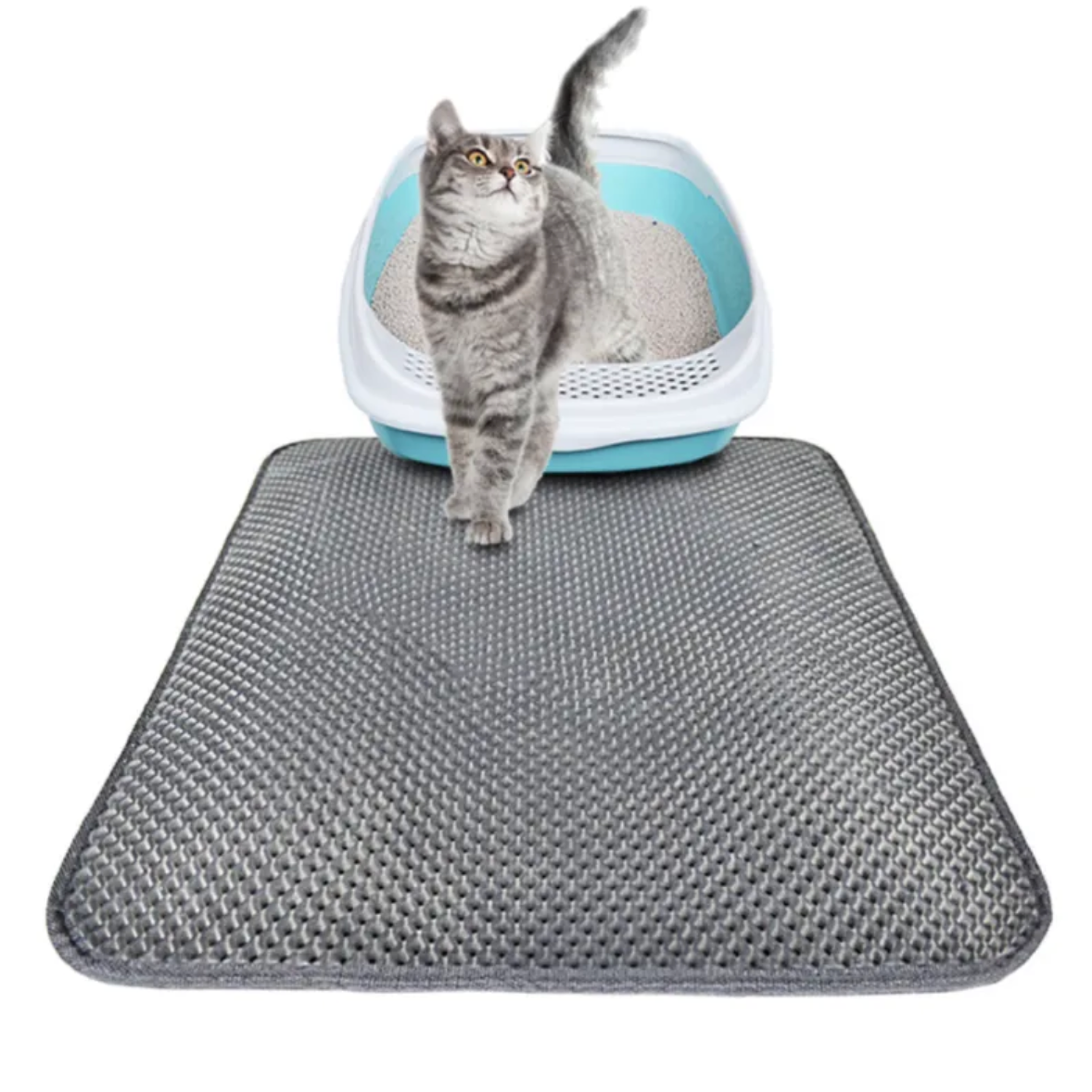 Cat on a gray honeycomb litter trapping mat next to the litter box
