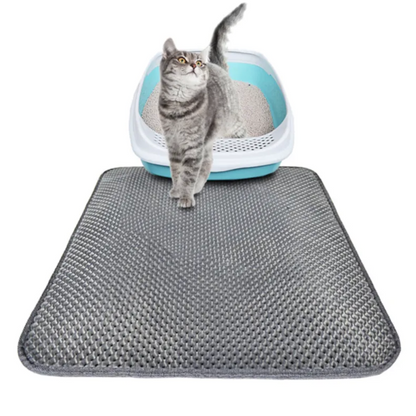 Cat on a gray honeycomb litter trapping mat next to the litter box