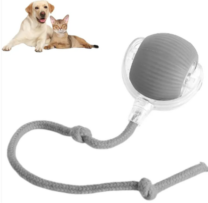 Smart Interactive Rolling Ball – Self-Moving Dog Toy