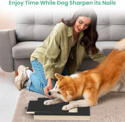 Corgi filing its nails on the scratch board while its owner relaxes
